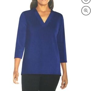 Banana Republic Women’s Blue 3/4 Sleeve V-Neck Soft Comfort Stretch Blouse
